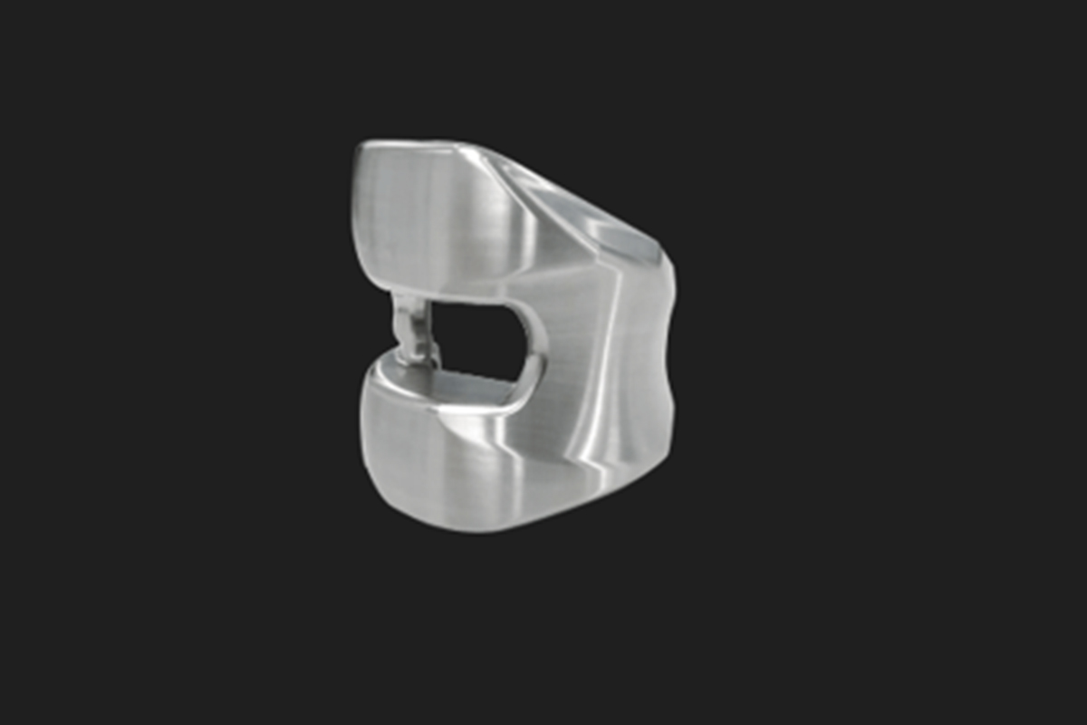 Prothèse condyle fémorale